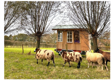  Tiny office in de natuur 